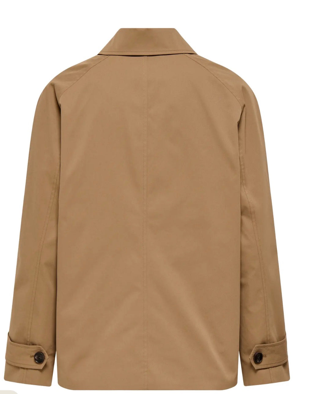 Only orchid ina jacket