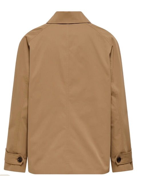 Only orchid ina jacket